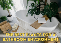 Ultimate Guide: The Best Plants for a Bathroom Environment 🌿🛁